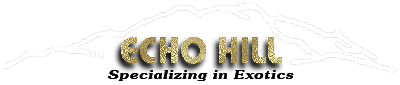 Echo Hill Logo